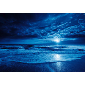 Midnight Blue Ocean - Classic Wall Mural for Modern Interiors Midnight Blue Ocean - Classic Wall Mural for Modern Interiors | Wall4Soul