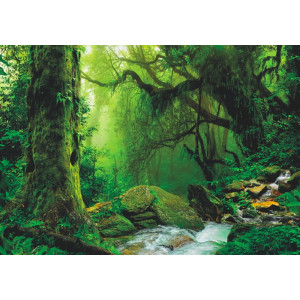 Nepal Jungle - Classic Wall Mural for Modern Interiors Nepal Jungle - Classic Wall Mural for Modern Interiors | Wall4Soul