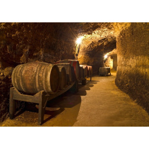 Rustic Wine Cellar - Classic Wall Mural for Modern Interiors