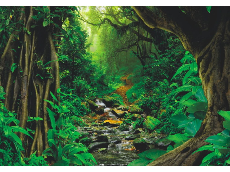 Tropical Jungle - Classic Wall Mural for Modern Interiors