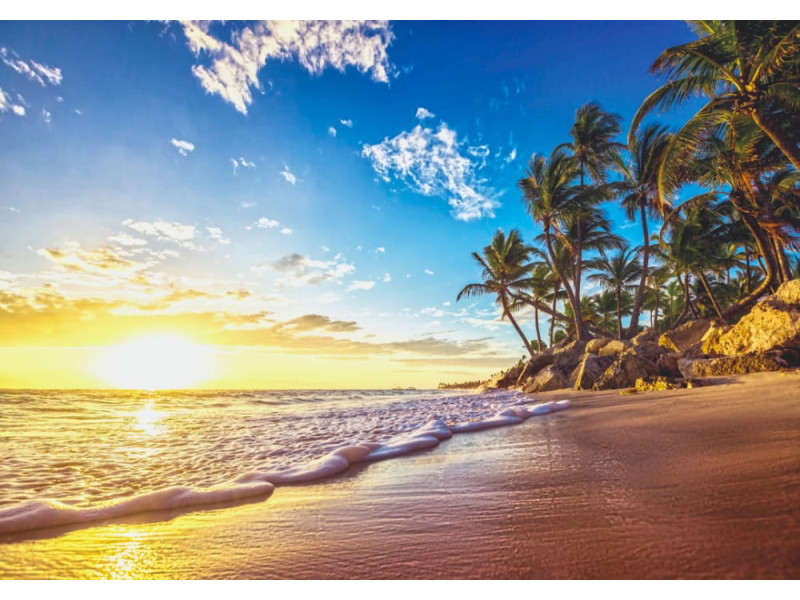 Tropical Paradise Beach - Classic Wall Mural for Modern Interiors