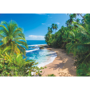 Wild Beach in Costa Rica - Classic Wall Mural for Modern Interiors Wild Beach in Costa Rica - Classic Wall Mural for Modern Interiors | Wall4Soul