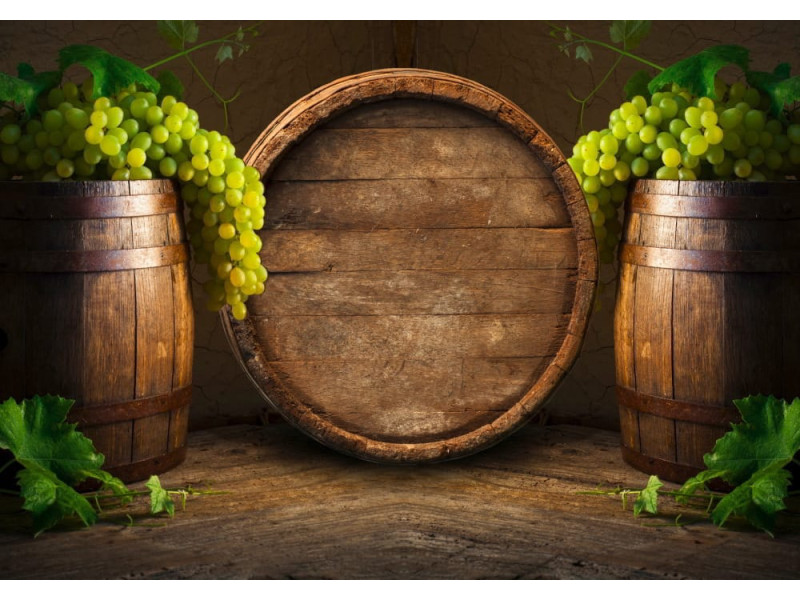Vintage Wine Cellar with Barrels - Classic Wall Mural for Modern Interiors