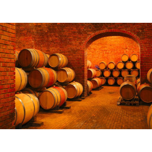 Wine Barrels in Vault - Classic Wall Mural for Modern Interiors